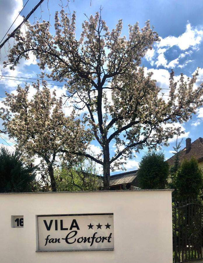 Vila Fan Confort Vişeu de Sus Екстериор снимка
