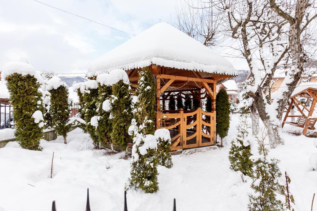 Vila Fan Confort Vişeu de Sus Екстериор снимка