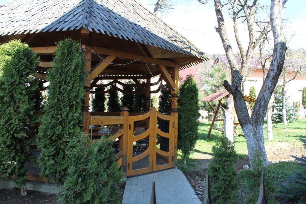 Vila Fan Confort Vişeu de Sus Екстериор снимка
