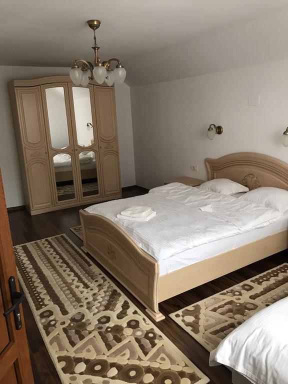 Vila Fan Confort Vişeu de Sus Екстериор снимка