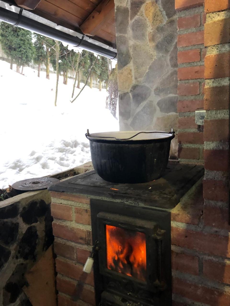 Vila Fan Confort Vişeu de Sus Екстериор снимка