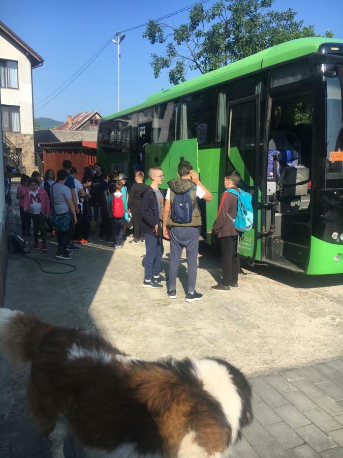Vila Fan Confort Vişeu de Sus Екстериор снимка