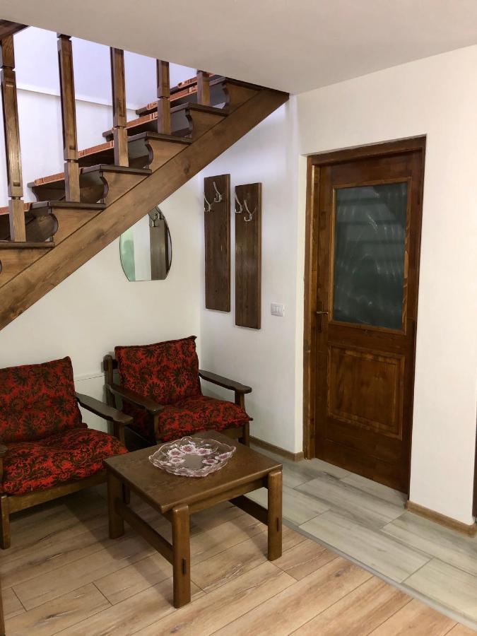 Vila Fan Confort Vişeu de Sus Екстериор снимка